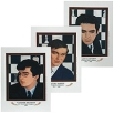 14 World Chess Champions (комплект из 14 плакатов) Издательство: Русский шахматный дом / Russian Chess House, 2006 г Листовое издание, 14 стр Язык: Английский Формат: 230x330 Цветные иллюстрации инфо 13355v.