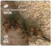 The Royal Philharmonic Collection Haydn (SACD) Серия: The Royal Philharmonic Collection инфо 13830z.
