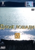 Дикие Лошади Формат: DVD (PAL) (Упрощенное издание) (Keep case) Дистрибьютор: Амальгама Региональный код: 5 Количество слоев: DVD-5 (1 слой) Звуковые дорожки: Русский Закадровый перевод Dolby Digital инфо 817s.